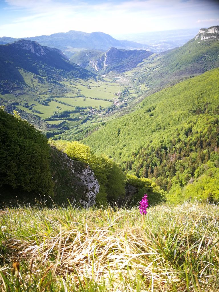 Résumé balade du 30 mai 2021 Vercors et Diois 3 Sur la route du col de la Bataille 30.5.21