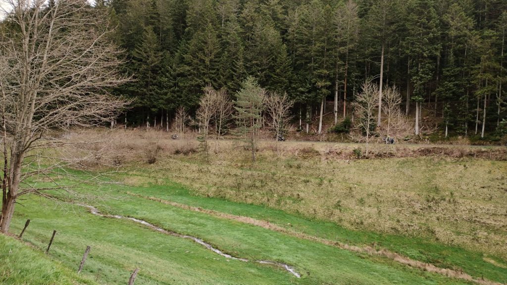 Formation interne 2 1000004998